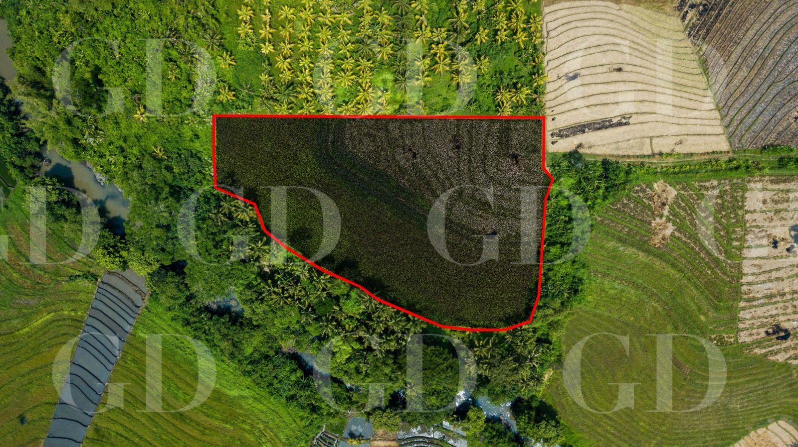 GD-843